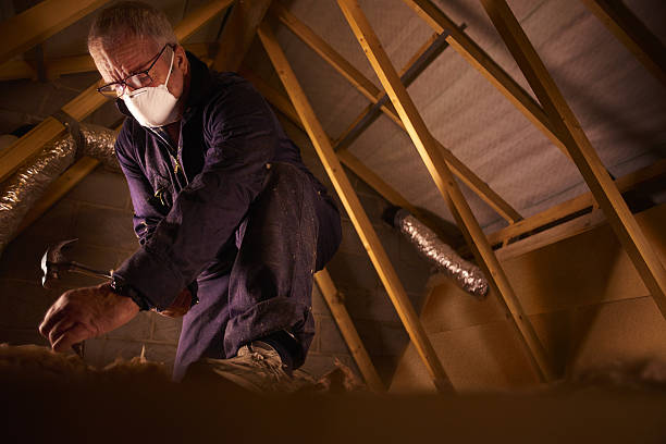 Best Specialty Insulation in Shinglehouse, PA